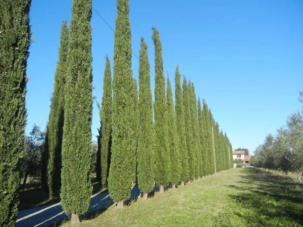 Azienda Agrituristica Le Betulle Riotorto 0*,