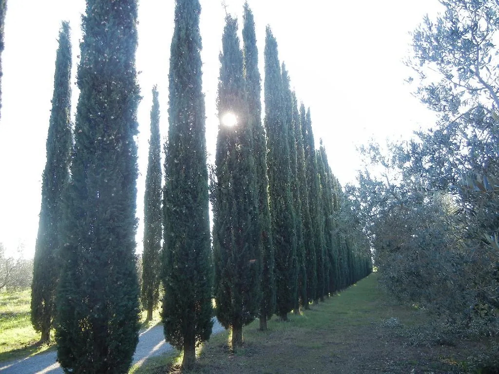 Alloggio per agriturismo Azienda Agrituristica Le Betulle Riotorto