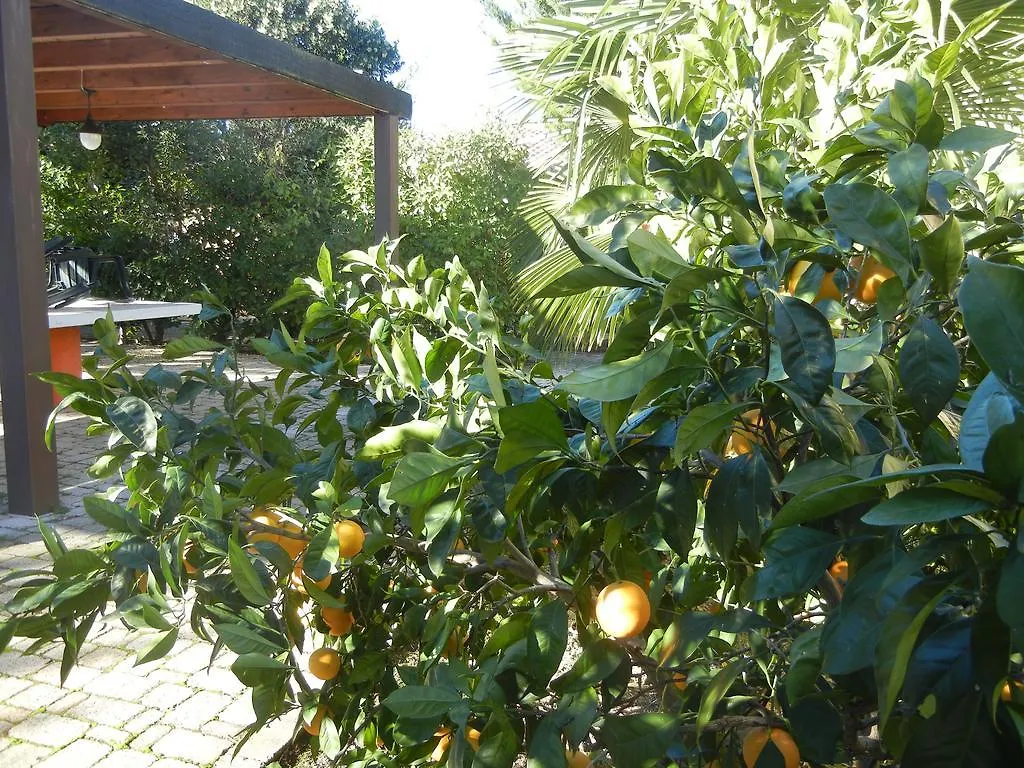 Azienda Agrituristica Le Betulle Riotorto Alloggio per agriturismo