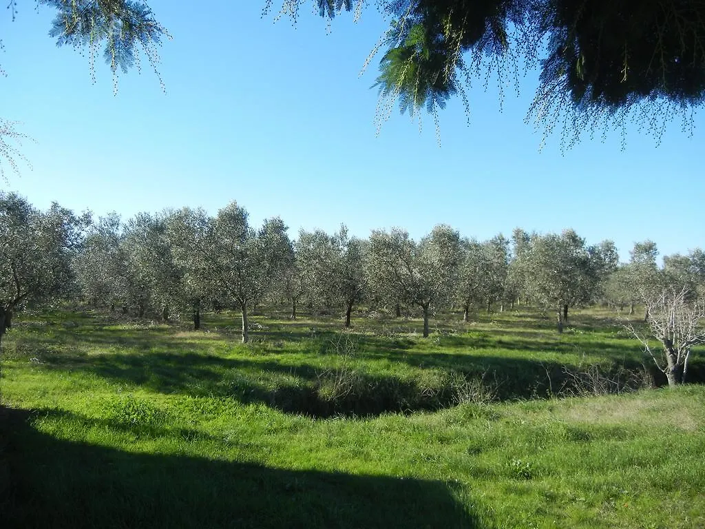 Azienda Agrituristica Le Betulle Riotorto