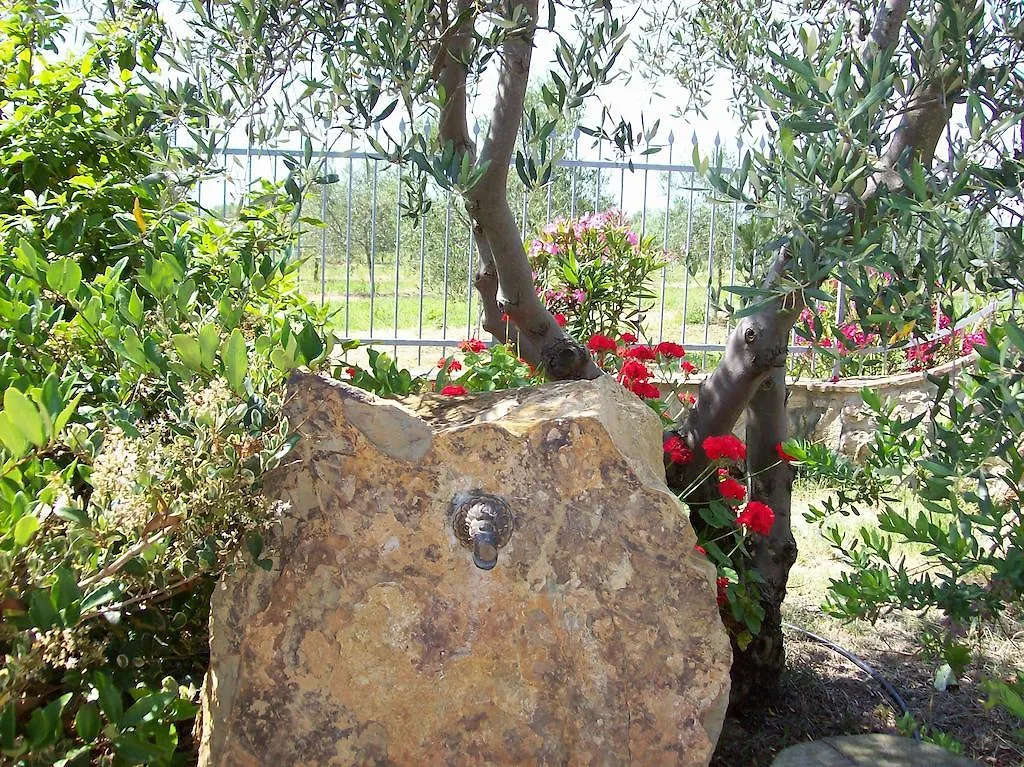 Azienda Agrituristica Le Betulle Riotorto Farma