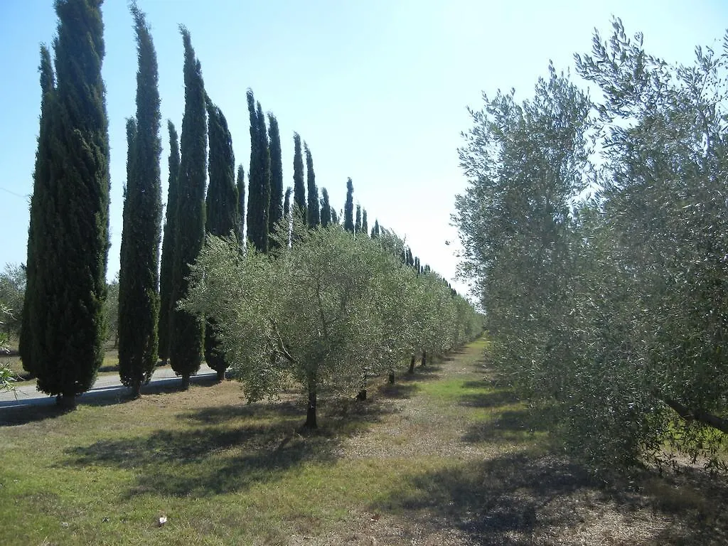 Alloggio per agriturismo Azienda Agrituristica Le Betulle Riotorto