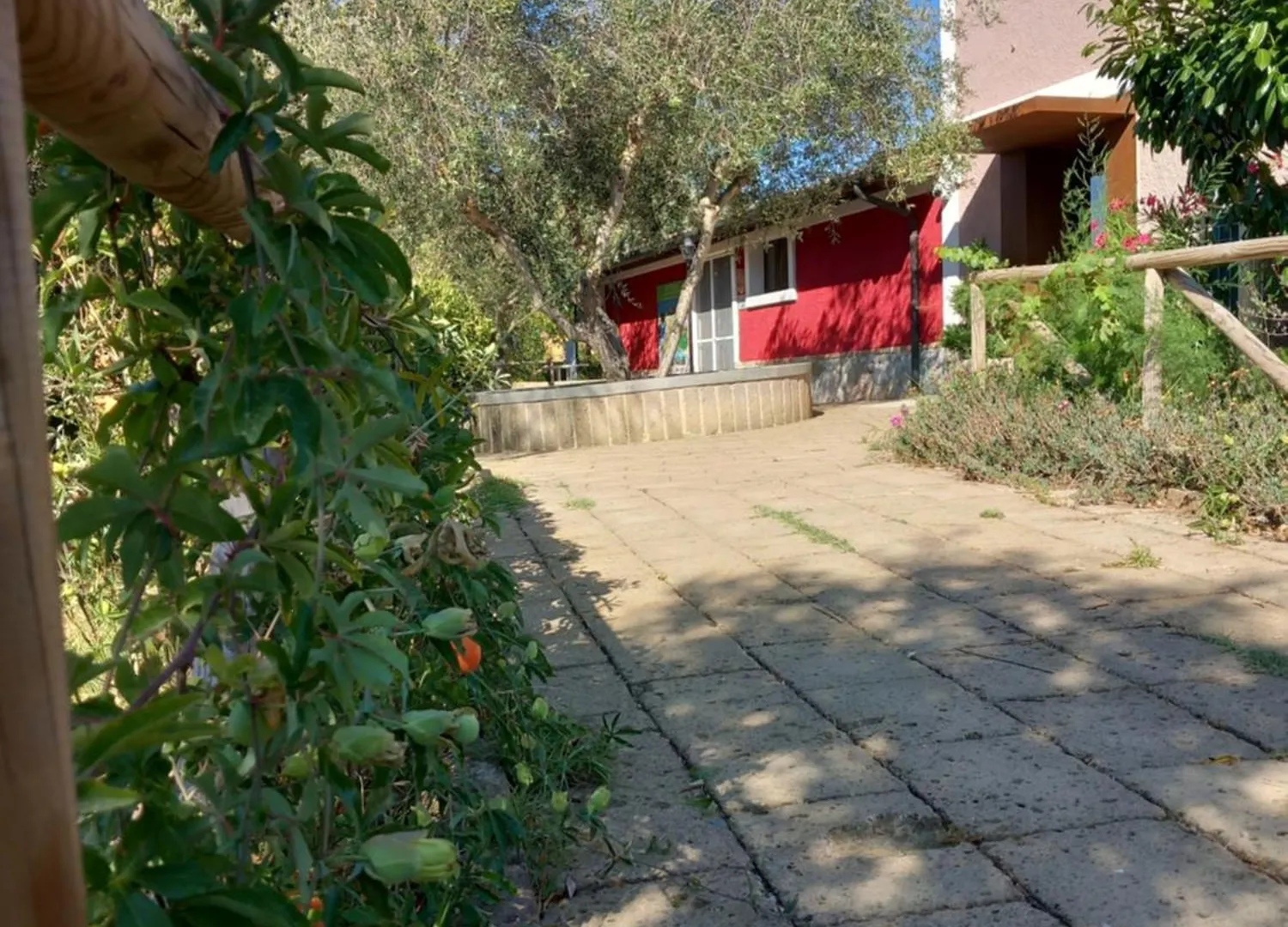 Farm stay Azienda Agrituristica Le Betulle Riotorto Italy