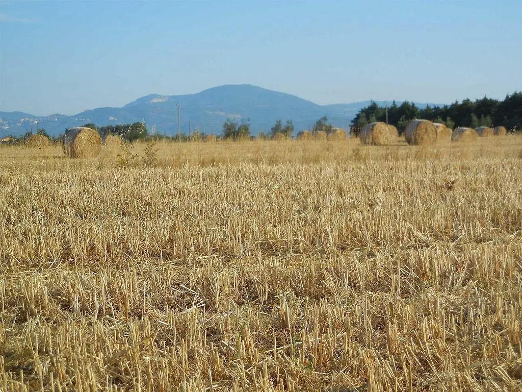 Azienda Agrituristica Le Betulle Riotorto Farm stay